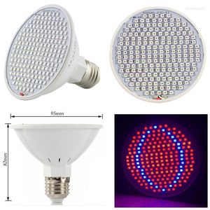 Cultiver des lumières rouge bleu intérieur croissant lumière LED plante lampe Fitolamp ampoules Hydro pour semis fleur légumes serre E27