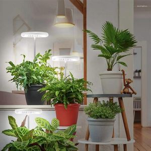 Lampes de culture SEWS-lampe de culture LED pour plantes spectre complet pour plantes d'intérieur bonsaï hauteur réglable minuterie automatique