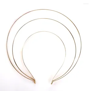 Pinces à cheveux bandeaux en métal lisse femmes bricolage artisanat blanc mince cadre en fil d'acier bandeau pour bandeaux cadeau de noël doré