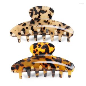 Clips de cabello Tortoise Claw Ornaments for Women Girls Fine Fine French Design Jewelry Tiara Cumpleaños para noviaz