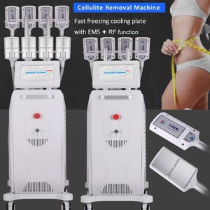 Hoge Prestaties Verticale Cryotherapie EMS RF Vetstralen Lichaam Vormgeven Afslanken Taille Been Dunner Cryolipolyse Spier Relax Salon