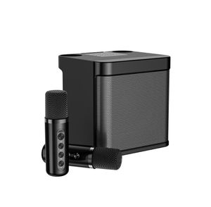 YS-203 portátil de alta potencia, 100W, micrófono Dual profesional, Altavoz Bluetooth, Karaoke de fiesta familiar externo inteligente