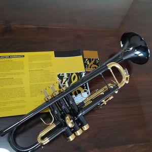 Trompette noire de haute qualité en laiton sculpté, nickel noir, or, bb, trompette professionnelle, instrument en corne