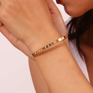 Bracelets de luxe de haute qualité en gros en gros cubique cubique zircone en acier inoxydable braceletzirconia bracelet zircon bracelet femelles