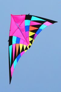 Rainbow Kite Kite Reel Set Handle Kites Tail Triangle Drachen KitesForadults Sail Wind Spinner Fish 10182290158