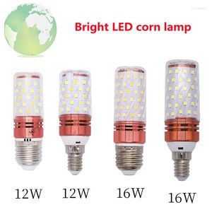 Hight Brighten maïs ampoule 12W 16W 20W SMD 2835 220V Lampada lampe lustre bougie lumière