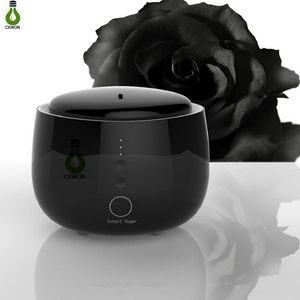 Home Air Aromatherapy humidifier 300ml capacity Negative ions humidifier with Touch Control, Colorful Night Light and Timing