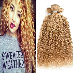 Honey Blonde Human Hair Weaves Color 27 Kinky Curly Peruvian Virgin Hair 3 Bundle Deals Afro Kinky Human Hair Bundles Fast Shiping