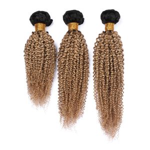 Honey Blonde Ombre Kinky Curly Indian Paquetes de armadura de cabello humano 3Pcs 300Gram # 1B / 27 Dark Root Light Brown Ombre Hair Wefts Kinky Curly