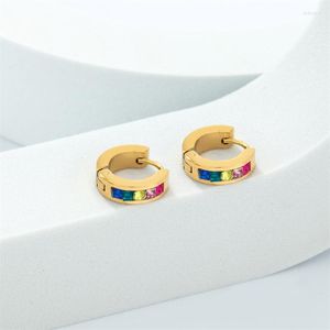 Pendientes de aro Acero inoxidable Colorido Cristal Pequeño para hombres Mujeres Cartílago Hebillas de oreja Piercing Joyas