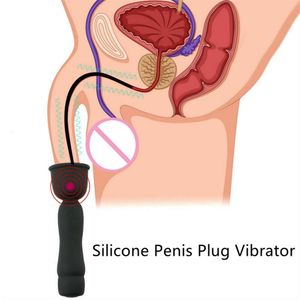 Horse Eye Stick Pinis Plug Vibrator Uretral Sound Catheter Soning Rod Glans Training Device Sexy Toys