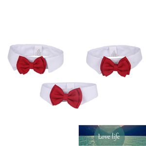 Chaud blanc rouge chien chiot chat nœud papillon cravate vêtements pour petit chien