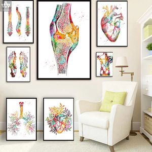 Sistema de músculos de anatomía humana cuadro sobre lienzo para pared carteles e impresiones imágenes de mapa corporal educación decoración del hogar 240106