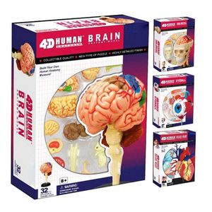 Corps humain, squelette, anatomie, crâne, mannequin, cœur, taille réelle, modèle d'oreille, Puzzle éducatif 4D, jouets de poupée scientifique du cerveau
