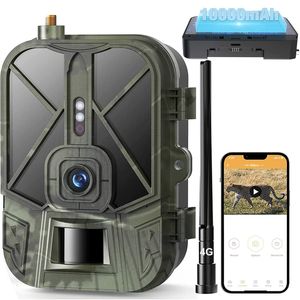 Cámaras de caza 4G LIVE Video10000mah batería de litio Cámara de rastreo celular 36MP4K Aplicación de juego inalámbrico Servicio en la nube Impermeable IP66 Wildlife Cam 230907