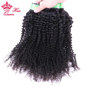 Paquetes de cabello mongol Afro Kinky Curly Human Raw Hair Weave Bundles 100% Virgin Hair Extensions Double Weft Queen Productos para el cabello Envío gratis