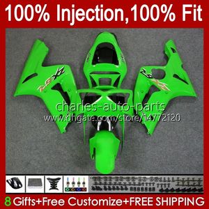 Carénages de moulage par injection pour KAWASAKI NINJA ZX-6R ZX-636 ZX 6R 600 CC 6 R ZX636 03-04 Carrosserie 8No.100 ZX 636 600CC ZX6R 03 04 ZX600C ZX600 2003 2004 OEM Bodys vert brillant