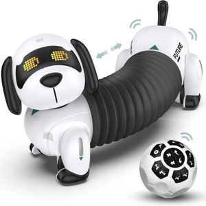 Jouets d'intelligence Robot intelligent chien 2.4G enfant télécommande sans fil parlant intelligent électronique chien jouets pour enfants cadeaux programmables 230928