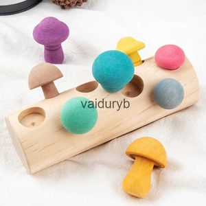 Jouets d'intelligence Blocs arc-en-ciel en bois jeu de cueillette de champignons bois bébé Montessori jouets éducatifs pour enfants forme Matng assemblage Graspvaiduryb