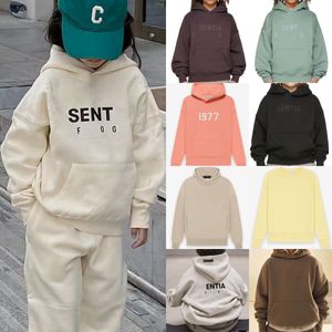 Ess Sudaderas con capucha para niños Diseñador Bebé Jersey Ropa Sudaderas para niños pequeños Letra Suelta Prendas de abrigo con capucha Niños Jóvenes Ropa esencial Niños Niñas Abrigo suéter Tops