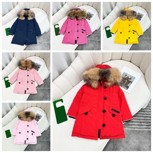 Manteau pour enfants Vêtements de créateurs pour bébés Manteaux en duvet Veste Enfant Vêtir avec badge à capuche épais vêtements d'extérieur chauds Fille Garçon Classique Parkas Col de fourrure de loup Veste d'hiver Style Rose Bleu