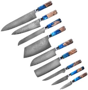 Ensembles de couteaux de chef de cuisine Damas 67 couches VG10 JapaneseSharp Chef Santoku Couteau de boucher utilitaire Filet Couteau à couperet Résine Bois H1174044