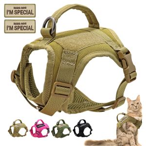 Harnais tactique militaire pour chien et chat, gilet réglable en Nylon pour chat et chiot avec 2 pièces, Patch autocollant gratuit pour petits chiens et chats