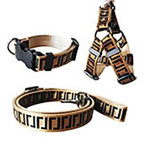 Laisses Colliers De Chien Ensemble Designer Laisse De Chien Ceintures De Sécurité Collier Pour Animaux De Compagnie Et Chaîne Pour Animaux De Compagnie Avec Pour Petits Moyens Grands Chiens Chat