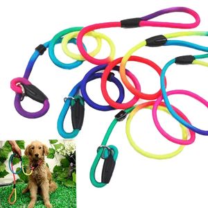 Correas Rainbow Pet Dog Cuerda de nylon Correa de entrenamiento Correa de plomo ajustable Collar de tracción
