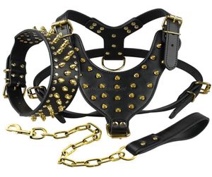 Harnais en cuir pour chien, ensemble de harnais et de laisse de chaîne pour chien clouté à pointes, pour races moyennes et grandes, Pitbull Mastiff Y20059985562