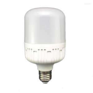 Ampoule LED lumière blanche 6500k 170-265V 5W économie d'énergie Bubbe boule lampe projecteur ampoules domestiques goutte