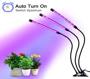 LED élèvent la lumière 12v Fitolampy LED lampe Phyto pour la boîte de tente de plante de fleur de légume d'intérieur Fitolamp 60 LED 30W3126855