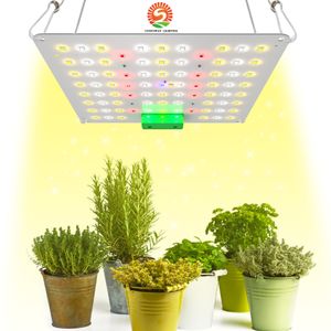 Lampe de croissance LED pour plantes d'intérieur, lumière solaire à spectre complet 60 W 85 W 120 W pour la culture pour l'ensemencement de fleurs végétales succulentes, kit de suspension pour luminaires de culture en serre