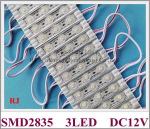Module d'éclairage LED pour lettres de canal de signalisation SMD 2835 DC12V 3 LED 1,5 W IP68 résine époxy étanche 66 mm x 13 mm lentille diffuse en croûte d'aluminium