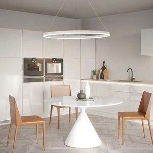 LED PENDANT LUMIER 40/60 / 80 cm 1-LIGHT RING CIRCLE DESIGNAUX DIMMABLE ALUMINUM FINES PEINTÉES LULURES