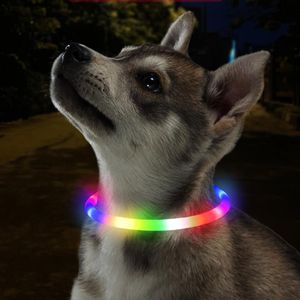 Collar LED para perro, seguridad nocturna, collares brillantes luminosos, anillo para el cuello para perros, gatos, productos para cachorros, carga USB ajustable