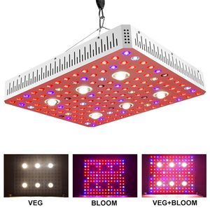 Full Spectrum LED Grow Light 1000W 2000W 3000W COB LED Plant Light Grow Lámpara para plantas de interior Invernadero Grow Shop