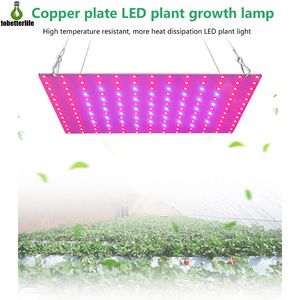 Luz LED para cultivo de plantas 85-265V Phytolamp 2835 81led 169led IP20 iluminación de crecimiento no impermeable lámpara de planta hidropónica de espectro completo