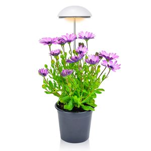 Luz LED pequeña para cultivo de plantas con paraguas, 20W 24 LED para jardín de hierbas, plantas en maceta, altura ajustable, temporizador, atenuador, lámpara para cultivo de plantas, plantas de interior, blanco