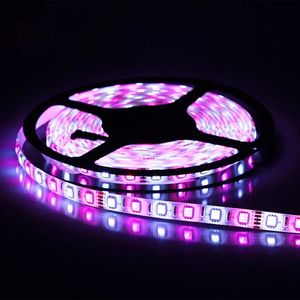 Tira de luces LED DC12V SMD5050 RGBW RGBWW Flexible 300LEDs 5M Rollo PCB Bar KTV Computadora Escritorio TV Decoración de fondo para boda Fiesta Vacaciones Ahora Crestech