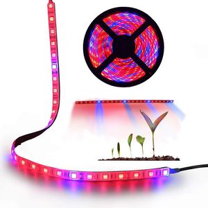 LED Strip Lights Full Spectrum Plant Grow Lighting 5M / Roll 300 LEDs 5050 Puce Fitolampy Imperméable Pour Les Plantes Hydroponiques À Effet De Serre D'intérieur