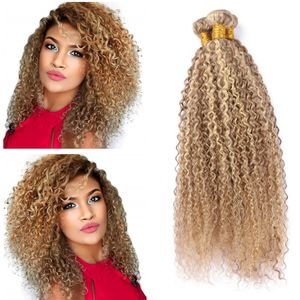 8/613 Kinky Curly Brazilian Human Hair Weaves, Light Brown & Blonde Highlights, Durable Hair Extensions