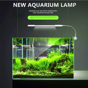 Lightings EU Plug Fishbowl Clip Lampe LED Aquarium Paille Lumière Éclairage 2/4 Rangées Bleu et Blanc Fluorescent Luminaire 3/612/24H Segment Minuterie