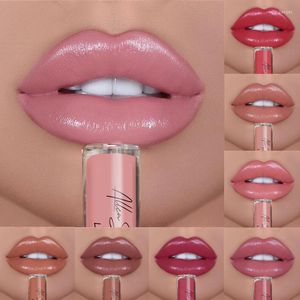 Brillant à lèvres 12 couleurs nude imperméable longue durée rouge à lèvres liquide mat naturel hautement pigmenté avec un maquillage plus dodu