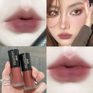 Brillo de labios 3,5g lápiz labial de terciopelo gris rosa rubor mate de larga duración rojo taza antiadherente tinte de maquillaje impermeable cosméticos coreanos