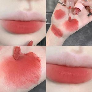 Brillant à lèvres 6 couleurs, rouge à lèvres liquide mat velours Sexy, beauté rouge nu, imperméable, maquillage longue durée pour femmes