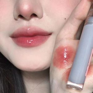 Brillo de labios HEALLOR Pink Clear Mirror Water Glaze Transparente Impermeable Brillante Líquido Lápiz labial Tinte rojo Maquillaje Coreano