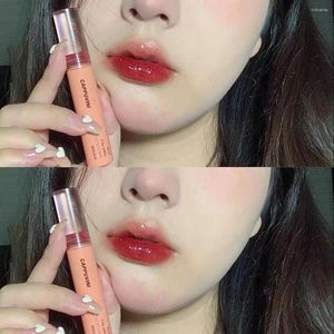 Brillo de labios Rosa Claro Espejo Esmalte de agua Transparente Impermeable Brillante Lápiz labial líquido Cereza Tinte rojo Maquillaje coreano