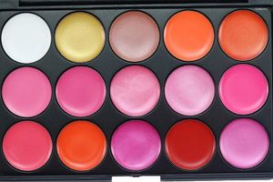 Brillant à lèvres en gros 96 pièces 15 couleurs Palette de brillant à lèvres couleur neutre Kit de contour à la mode maquillage rouge à lèvres correcteur pigment de camouflage