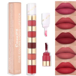 Juego de pintalabios 5 en 1 de diferentes colores, juego de brillo de labios de terciopelo resistente al agua de larga duración, maquillaje de labios pigmentado para niñas y mujeres